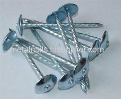 Umbrella Head Roofing Nails