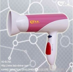 Home hair dryer