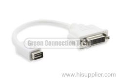 Green Connection Mini DVI to DVI Converter
