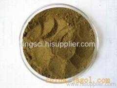 Echinacea Purpurea Extract