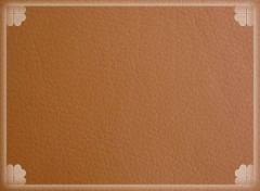 Wl-alfan leather materials co., ltd.