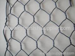 hexagonal wire net