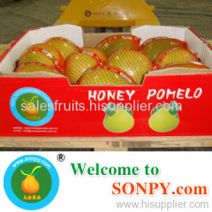 honey pomelo