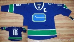 The third section #16 BLUE LINDEN VANCOUVER CANUCKS
