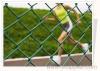 Chain Link Fence