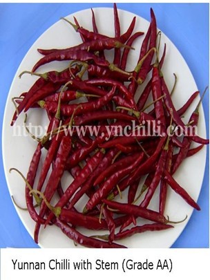 chilli arbol with stem