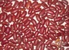 red kidney bean