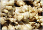 ginger whole