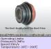 mechanical seals