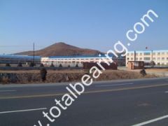 Shenyang Total Bearing Co.,Ltd.