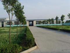 Tengzhou Shengbaoshi Bio-technology CO.,LTD