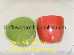 biodegradable flower pots