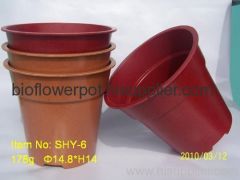 Biodegradable flower pots