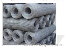 Galvanized Welded Wire Mesh