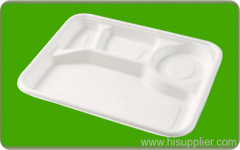 bagasse tray