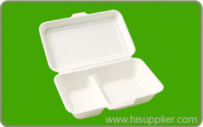 bagasse container