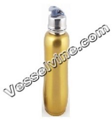 Stainless Sports Bottle