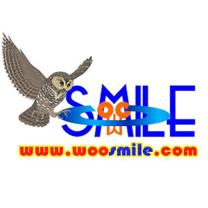 Shenzhen Woosmile Trading Company