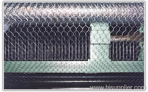 Hot-dip Galvanized Breeding Wire Netting