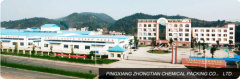 Pingxiang Zhongtian Chemical Packing Co., Ltd