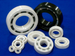 hybrid roller bearings