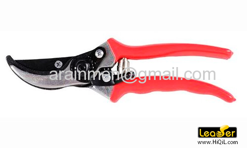 Pruning Shear