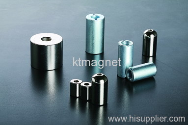 radial magnetized ring magnets