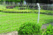 Garden Wire Mesh Fence