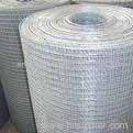 Welded Wire Mesh Roll