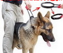 Pet Leash Mesh dog leash