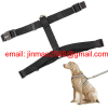 Pet Harness