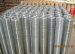 Electro galvanized Welded Wire Mesh Pannels