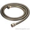 Stainless steel blue green bronze plate shower hose