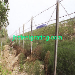 Wire Fencing