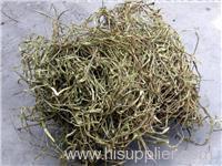 White Willow Bark Extract