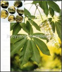 Horse Chestnut Extract