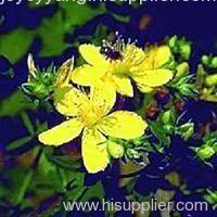 Tribulus Terrestris P.E