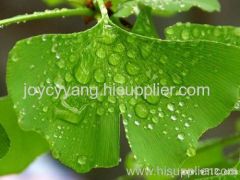 Ginkgo Biloba extract