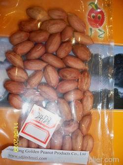 Groundnut