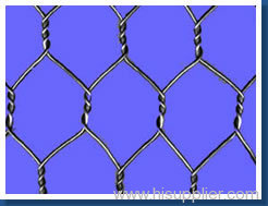 hexagonal wire netting