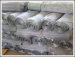 SUS304L Stainless Steel Wire Mesh