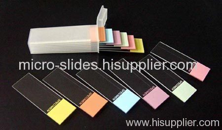 Poly-L-Lysined Positive Charged Adhesion Slides