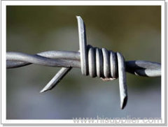 Concertina Barbed Wire