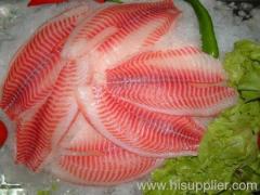 Tilapia