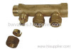 Brass manifold