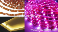 RGB LED STRIPS