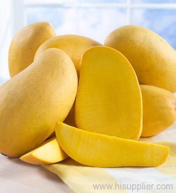 FRESH MANGOES