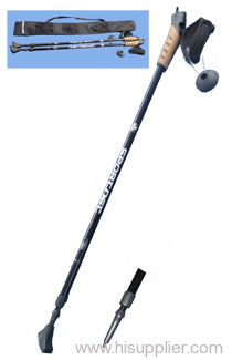 nordic walking stick