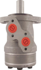 Hydraulic motor