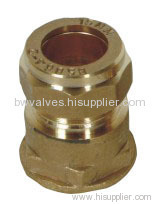 Push Fit Brass Fitting